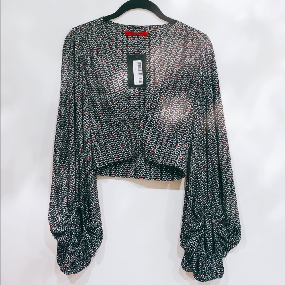 NWT Cropped top with dramatic sleeves